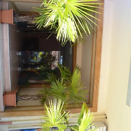 מלון Phoenix Family 3*